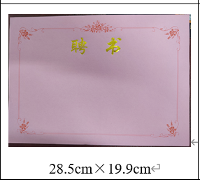 国产 聘书内芯12k 28.5*19.9cm*150张 - 国产