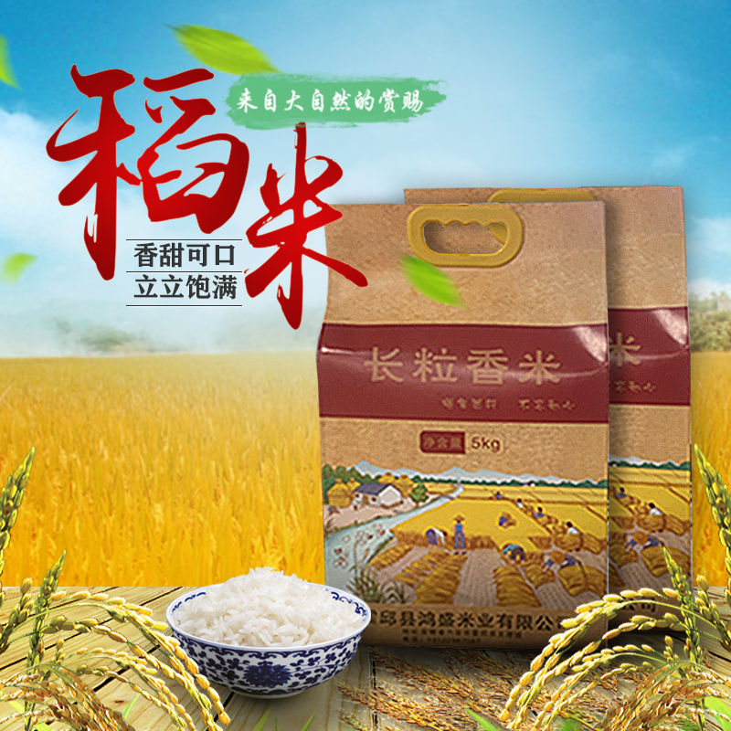 明亮 长粒香米5kg - 明亮