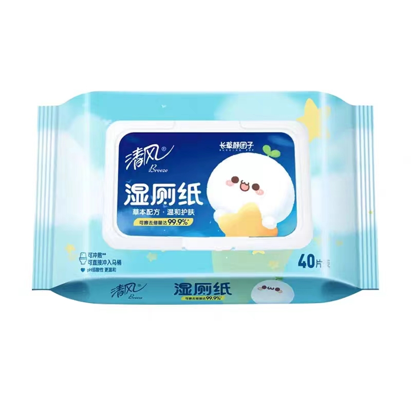 民用-清风 BWB40W2湿厕纸巾-40片 - 清风
