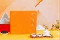 中茶CTA6691山河玉叶大红袍240g