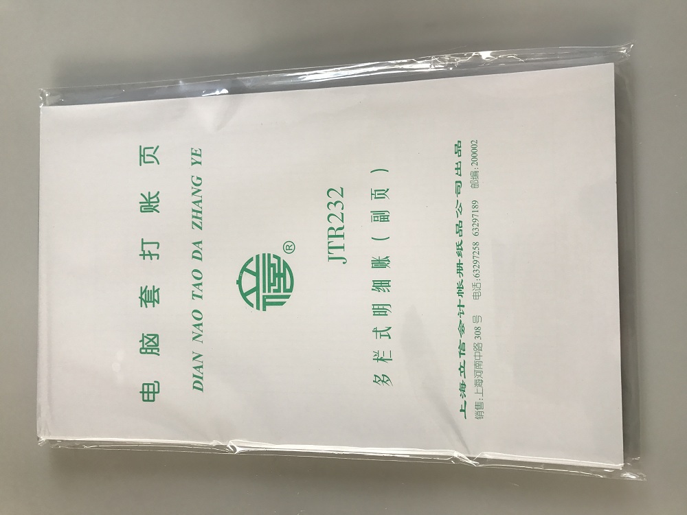立信 JTR232多栏式明细账(副页)