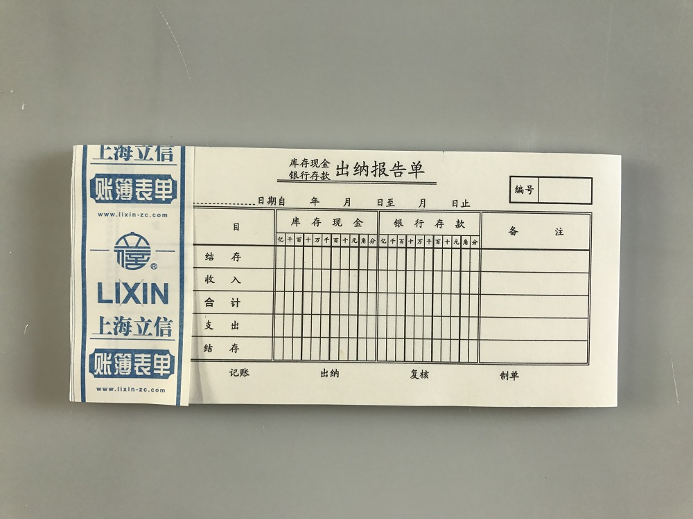 立信 119-48出纳报告单-48K