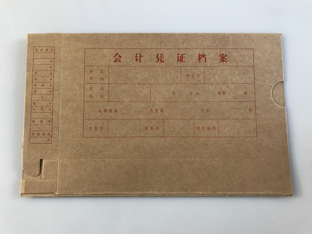 立信 2994电算化凭证档案纸盒-20K