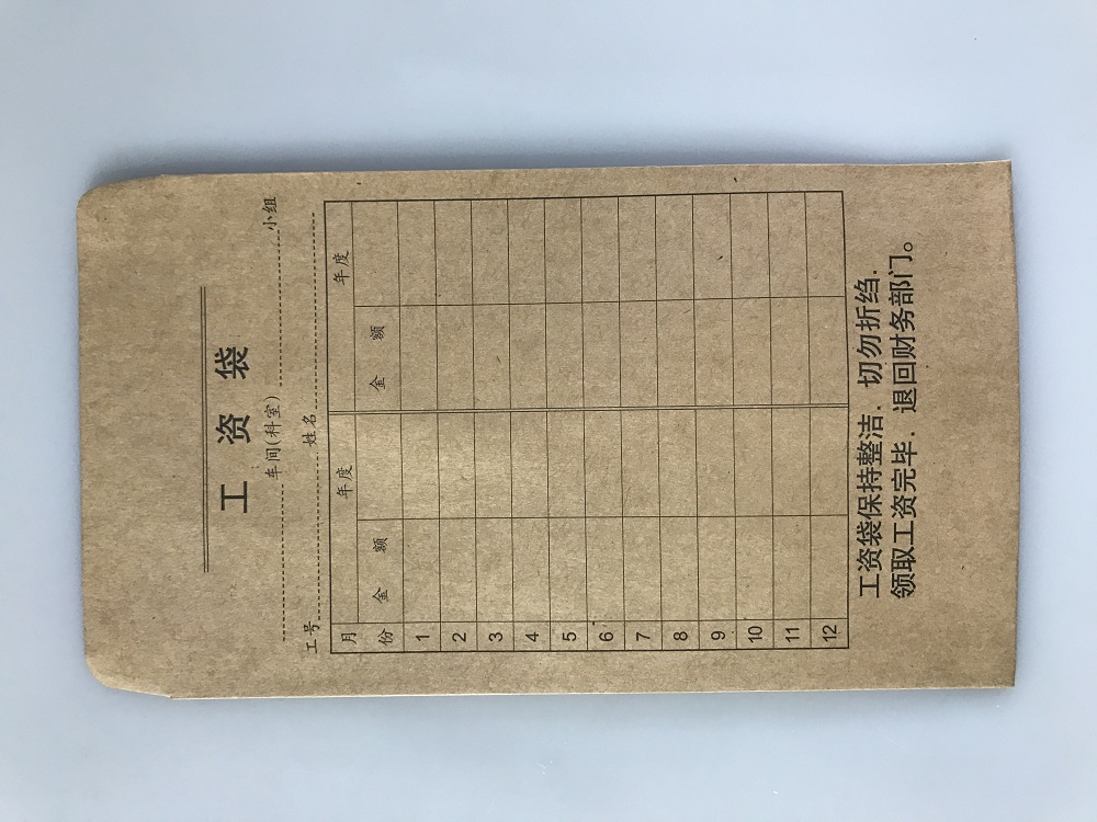 立信 7391工资袋